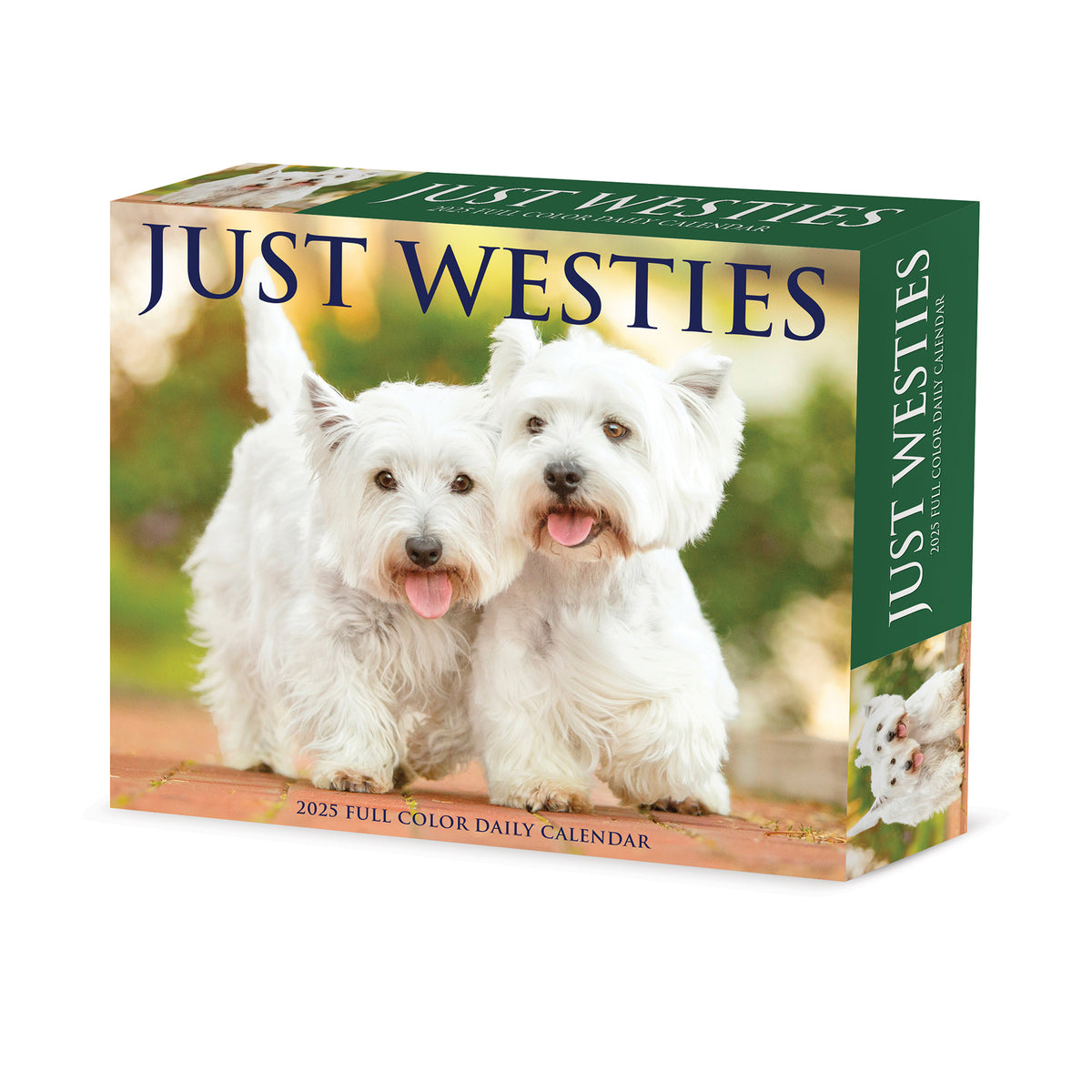 Westies 2025 Box Calendar Willow Creek Press