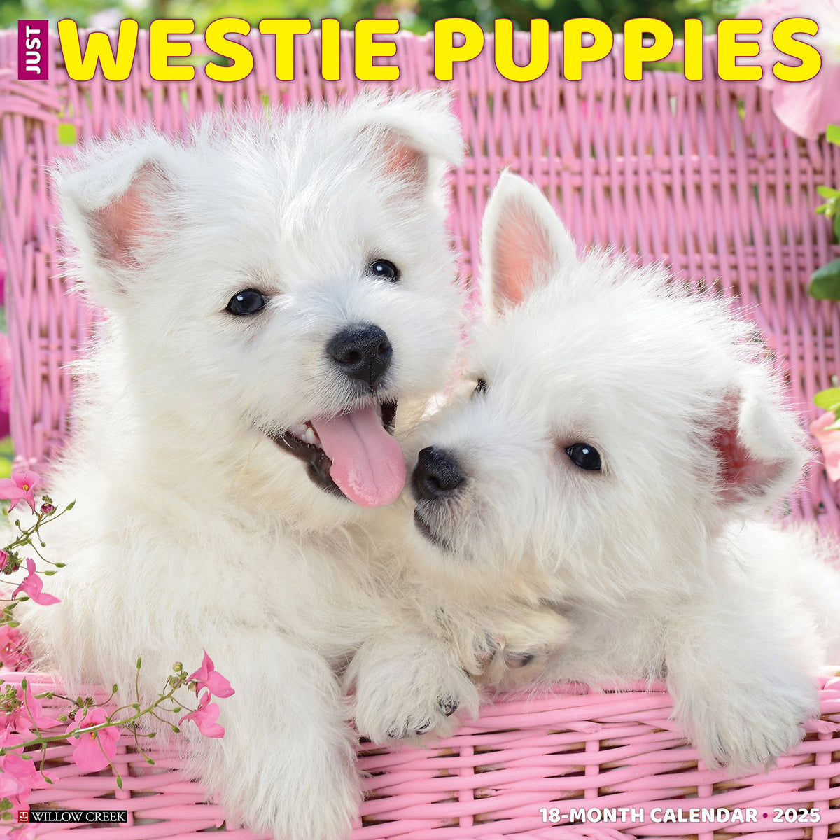 Westie Puppies 2025 Wall Calendar Willow Creek Press