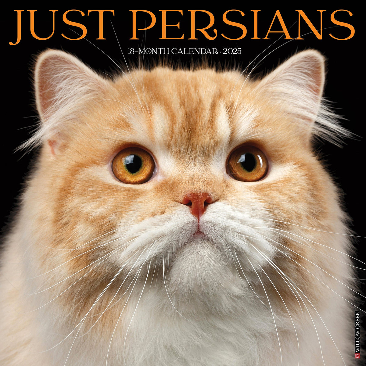 Persians 2025 Wall Calendar Willow Creek Press