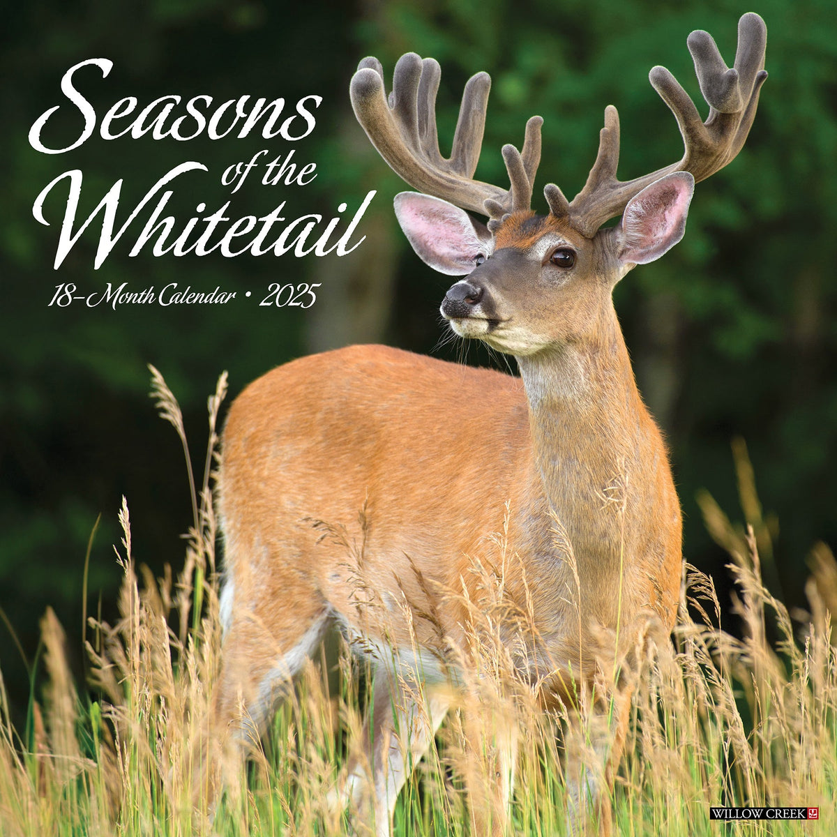 Seasons of the Whitetail 2025 Wall Calendar Willow Creek Press