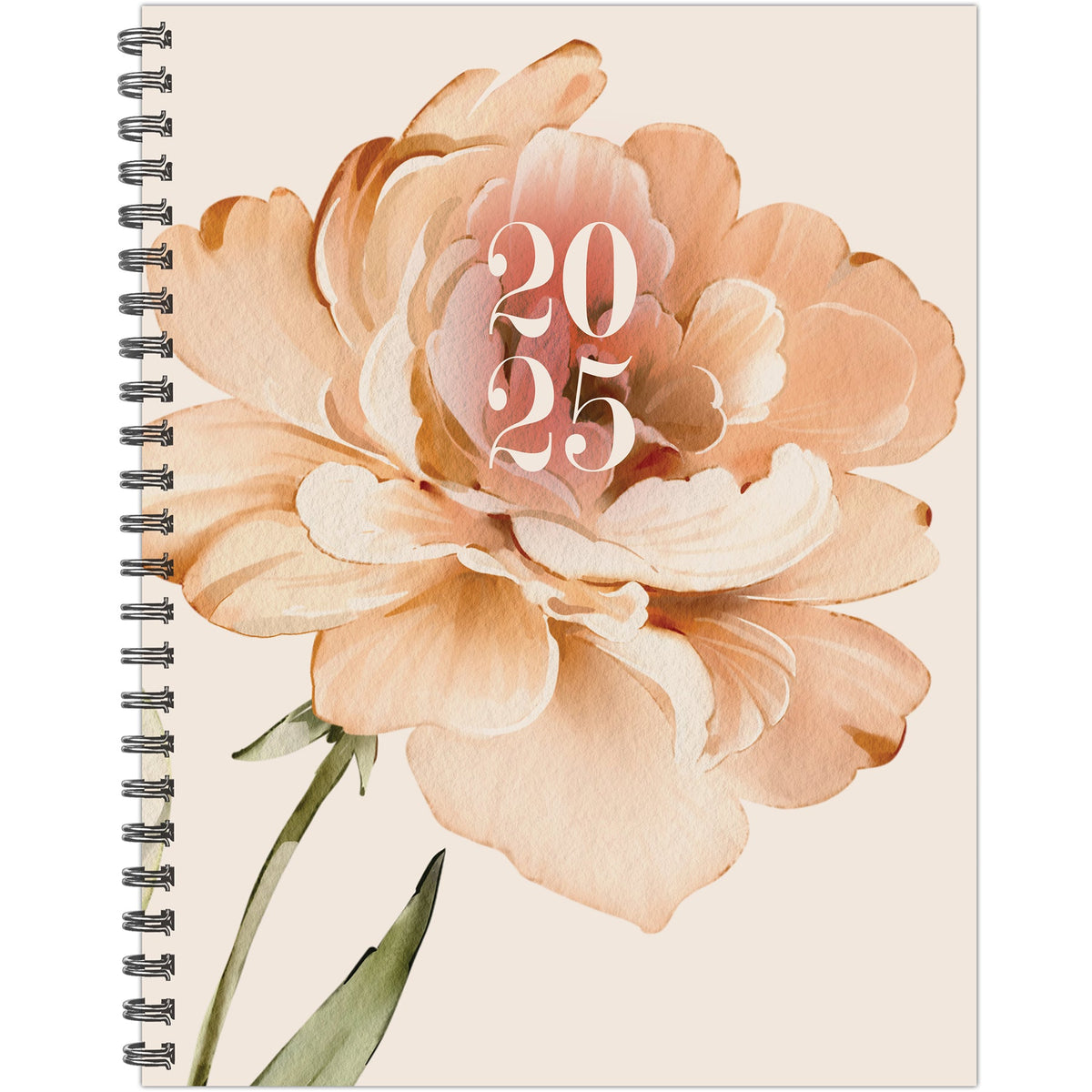 Peony 2025 Weekly Planner Willow Creek Press