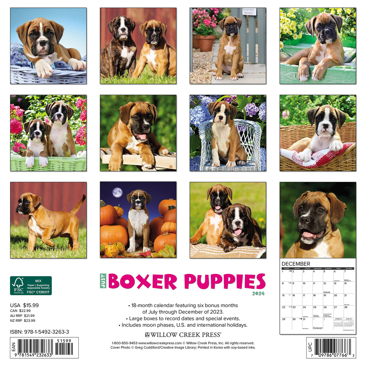 Just Boxer Puppies 2024 Wall Calendar – Willow Creek Press