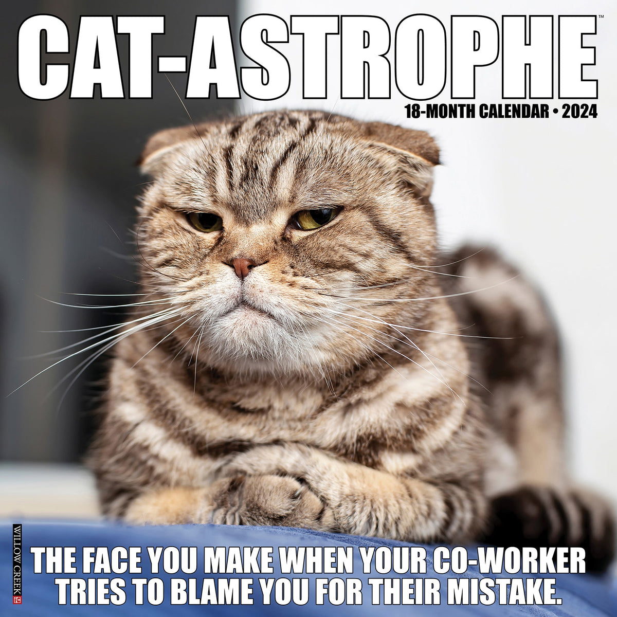 Cat-Astrophe 2024 Wall Calendar – Willow Creek Press