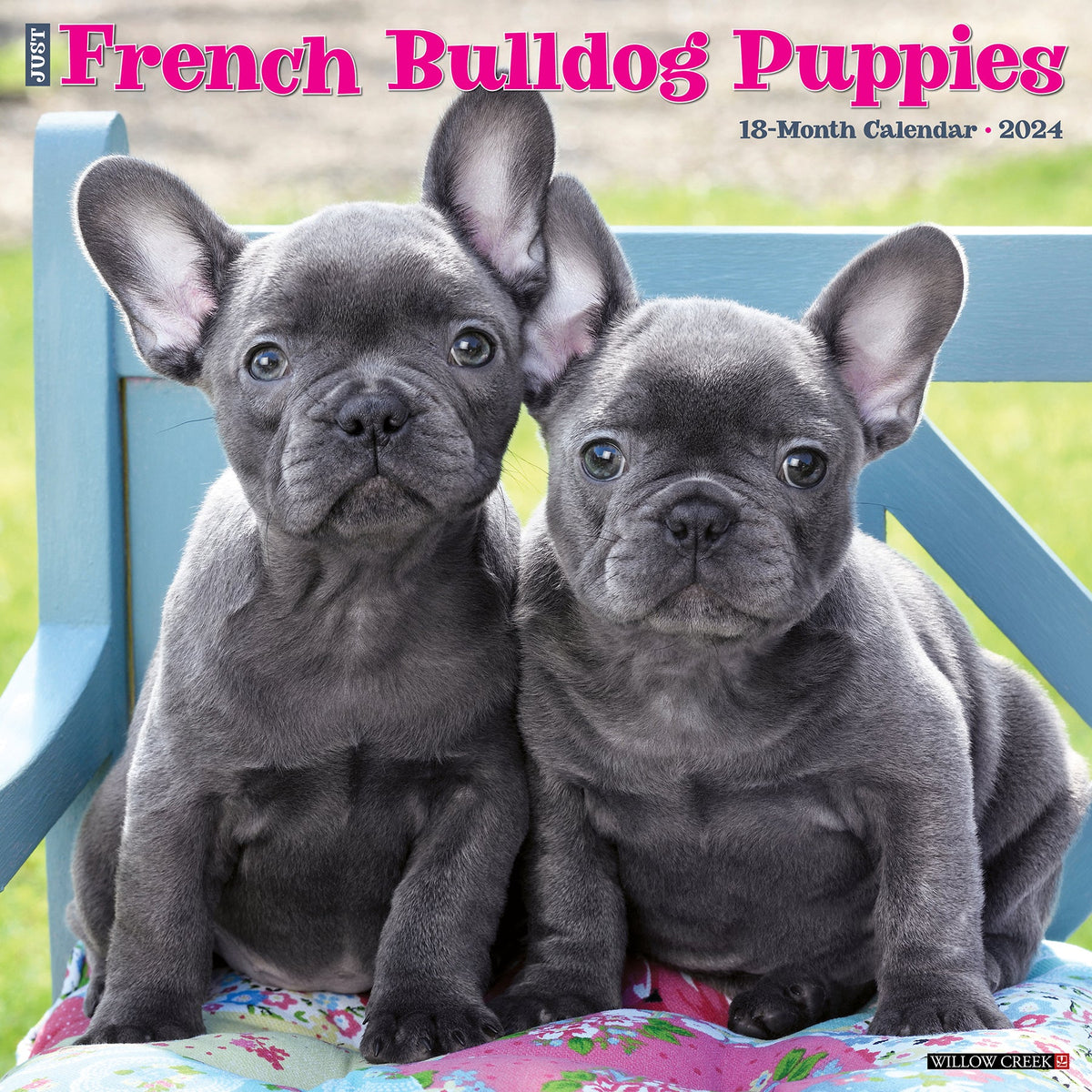 10 Best French Bulldog Puppy Toys 2024: According to Reviews