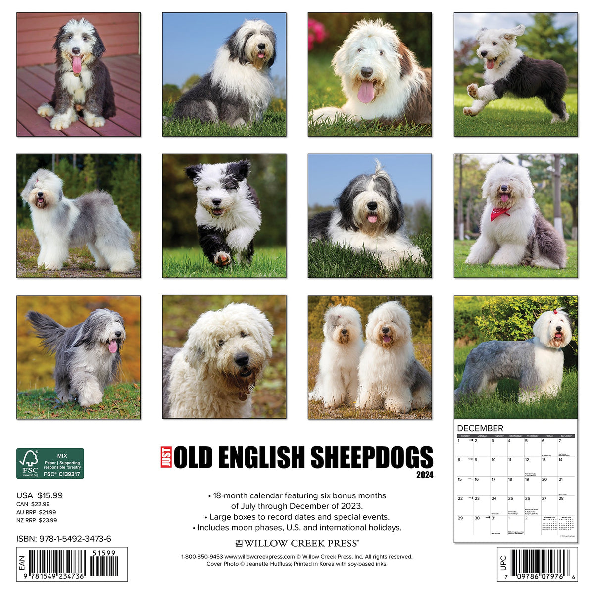 Old English Sheepdog Photographic Print for Sale by