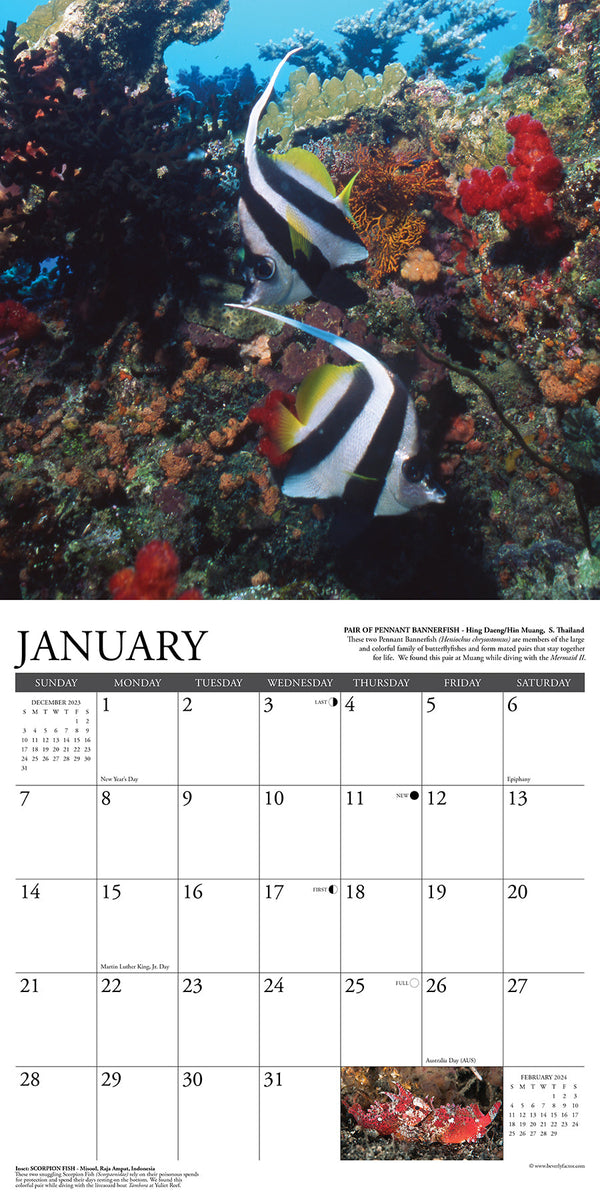 2024 Sea Creatures Desk Calendar, Watercolor Sea Fish Coral Whale