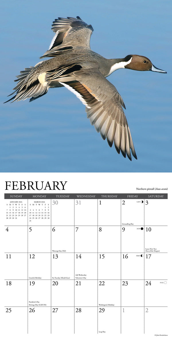 Canadian Fish & Wild Game 2024 Wall Calendar (Wildlife) – Willow Creek Press