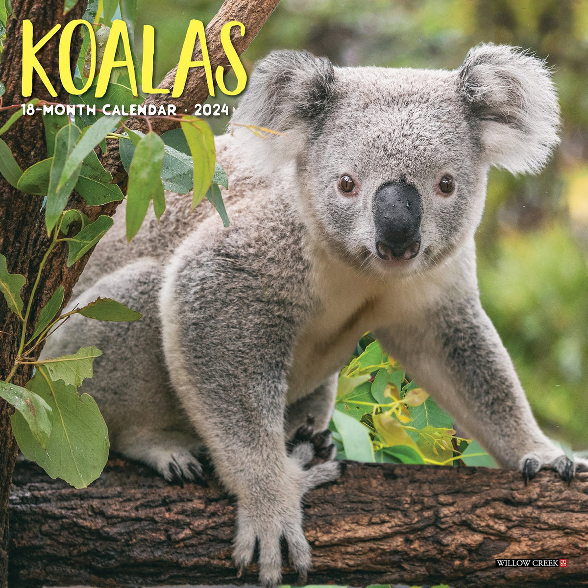 Koko Koala Leggings 18-24 Months – Willow Forest