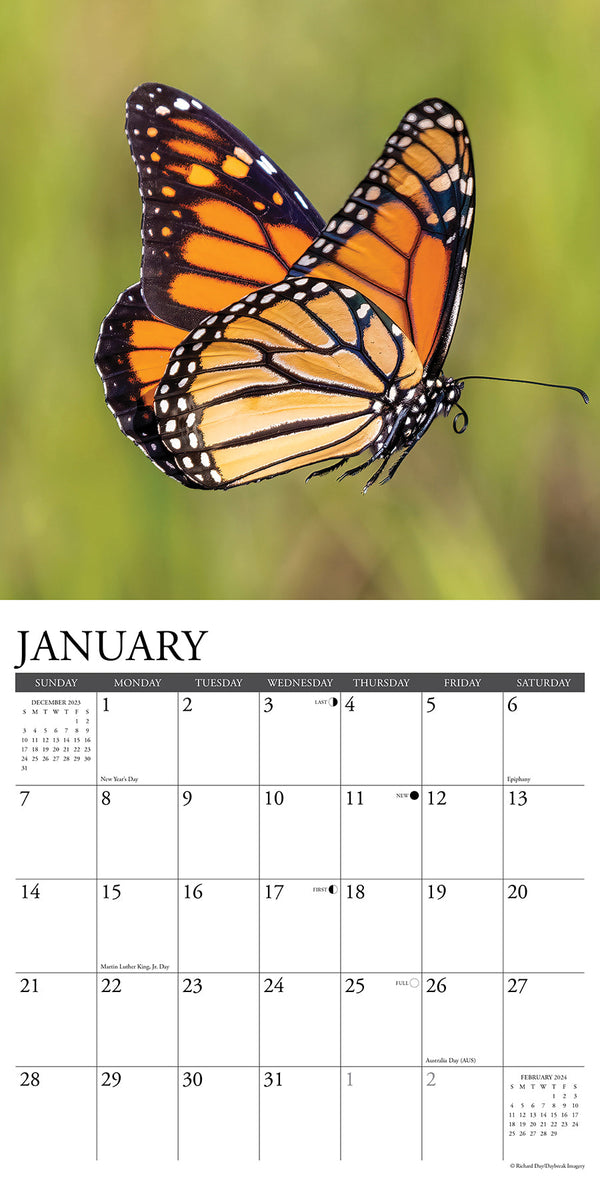 Tableau moderne Calendar 2024 - Beautiful Butterflies Flying Over a  Blooming Meadow - Textes - Typographie - Tableaux