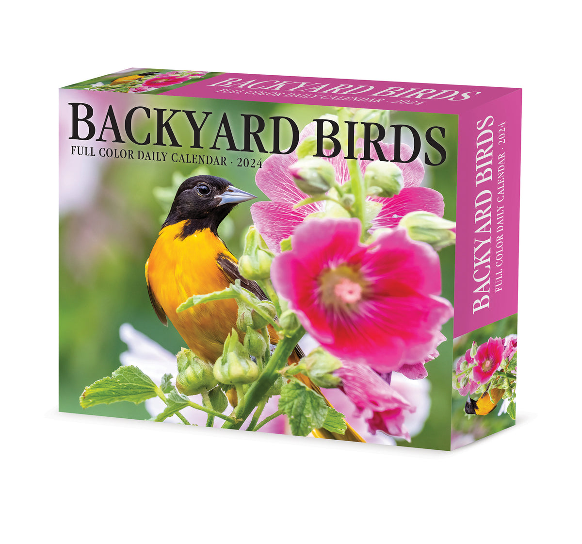 Backyard Birds 2024 6.2" x 5.4" Box Calendar Willow Creek Press