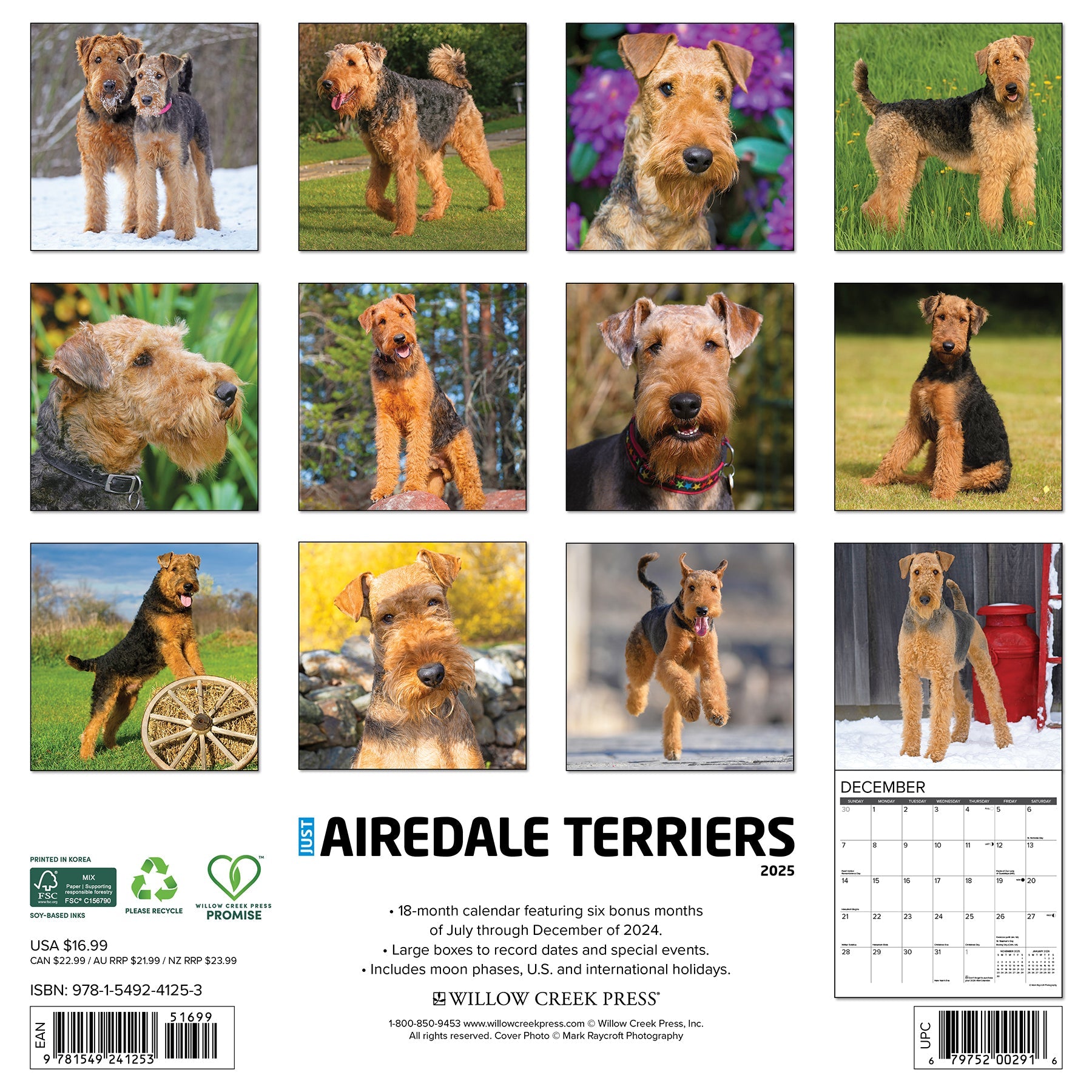 Airedale 12.0 best sale