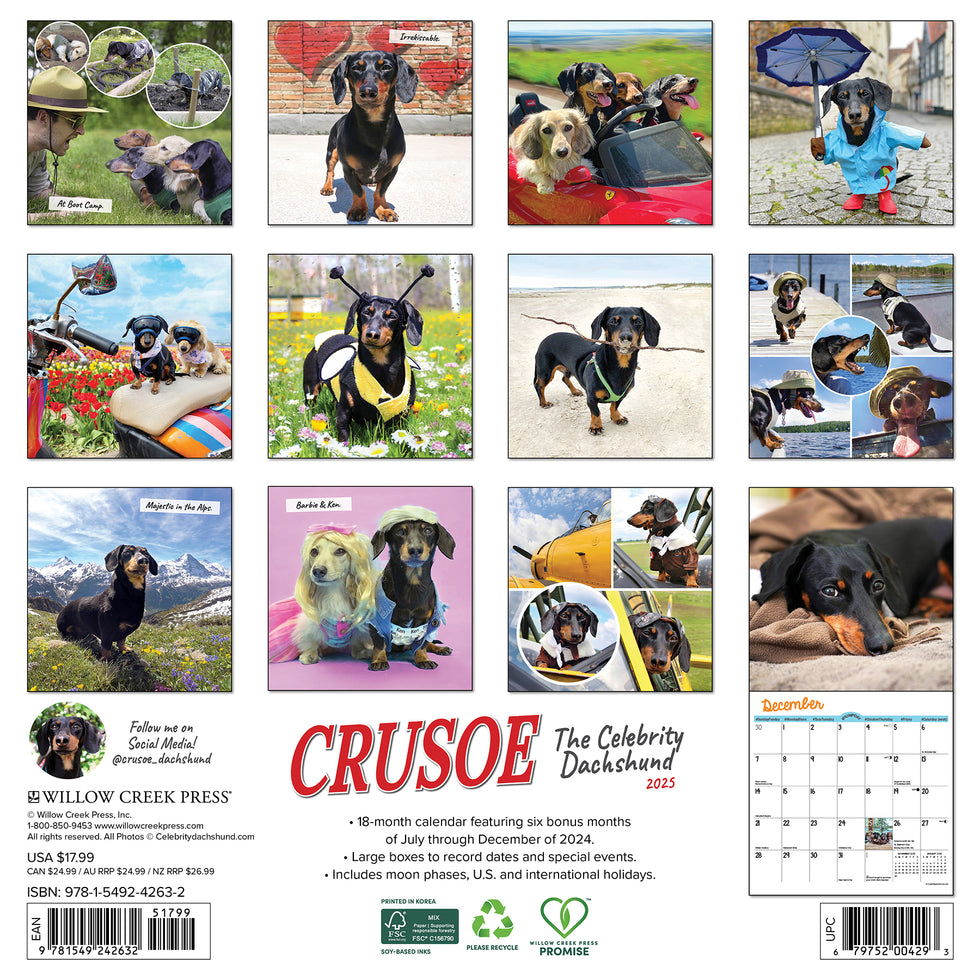 2025 Wall Calendars Willow Creek Press