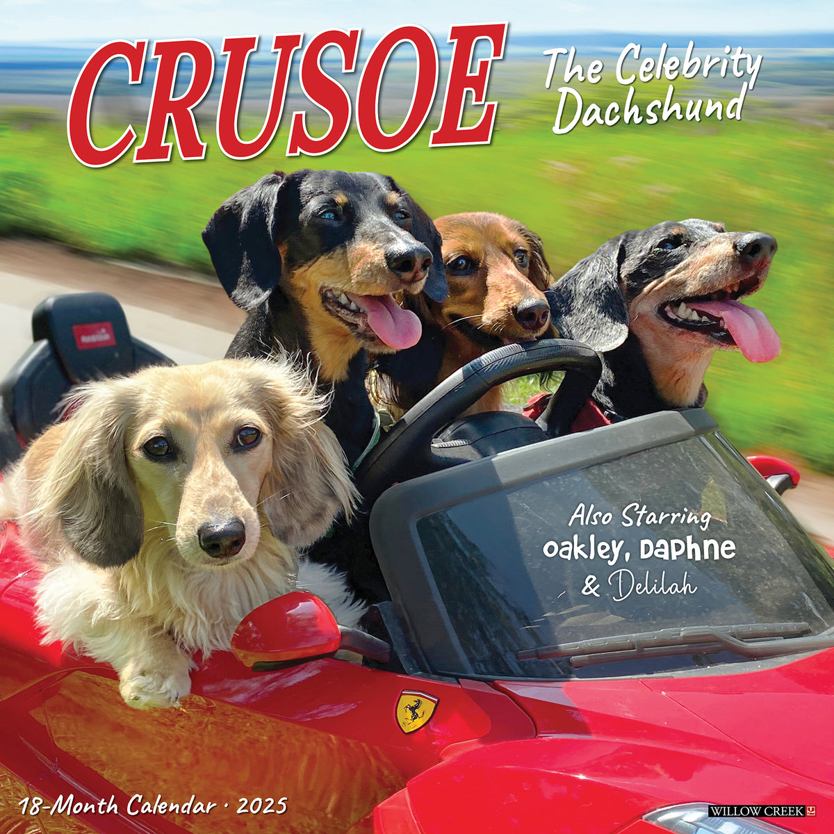 Crusoe the Celebrity Dachshund 2025 Wall Calendar Willow Creek Press