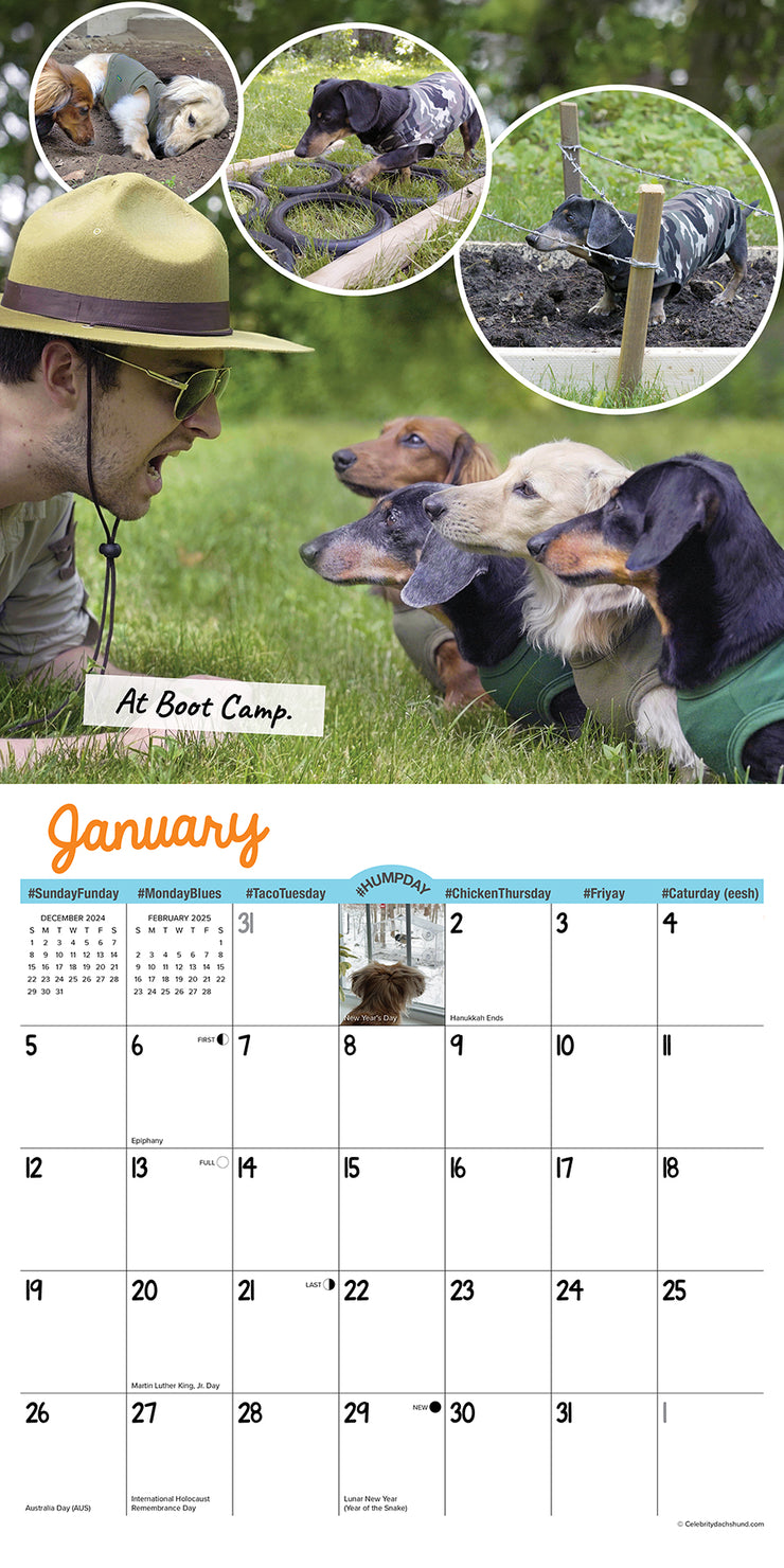 2025 Wall Calendars Willow Creek Press