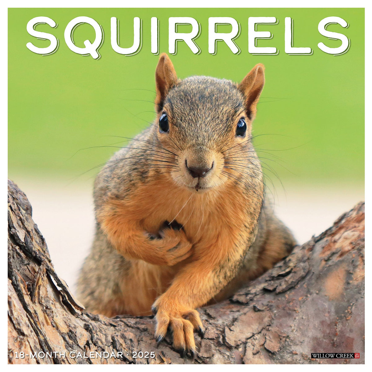 Squirrels 2025 Wall Calendar Willow Creek Press