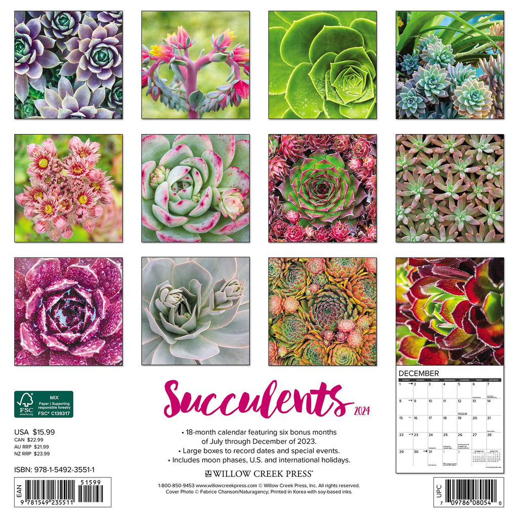 Succulents 2024 Wall Calendar – Willow Creek Press
