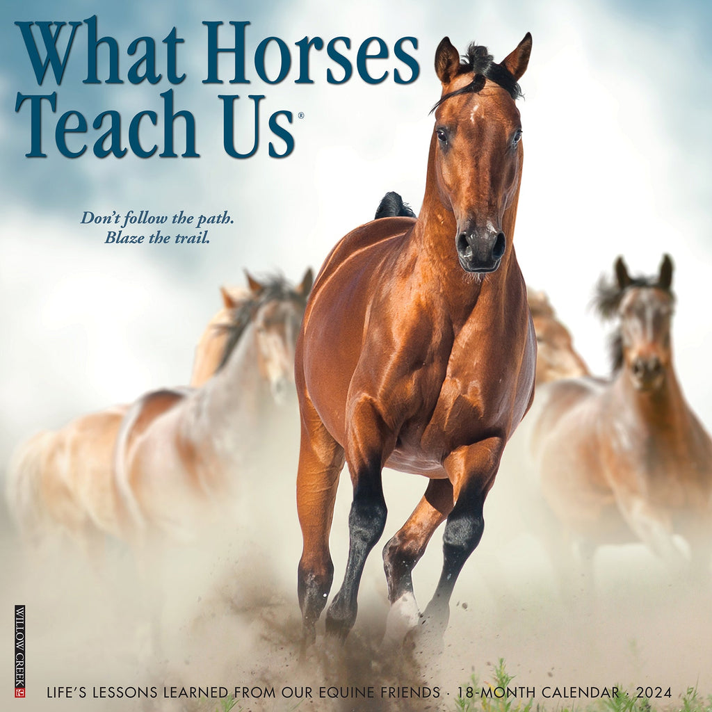 What Horses Teach Us 2024 Wall Calendar – Willow Creek Press